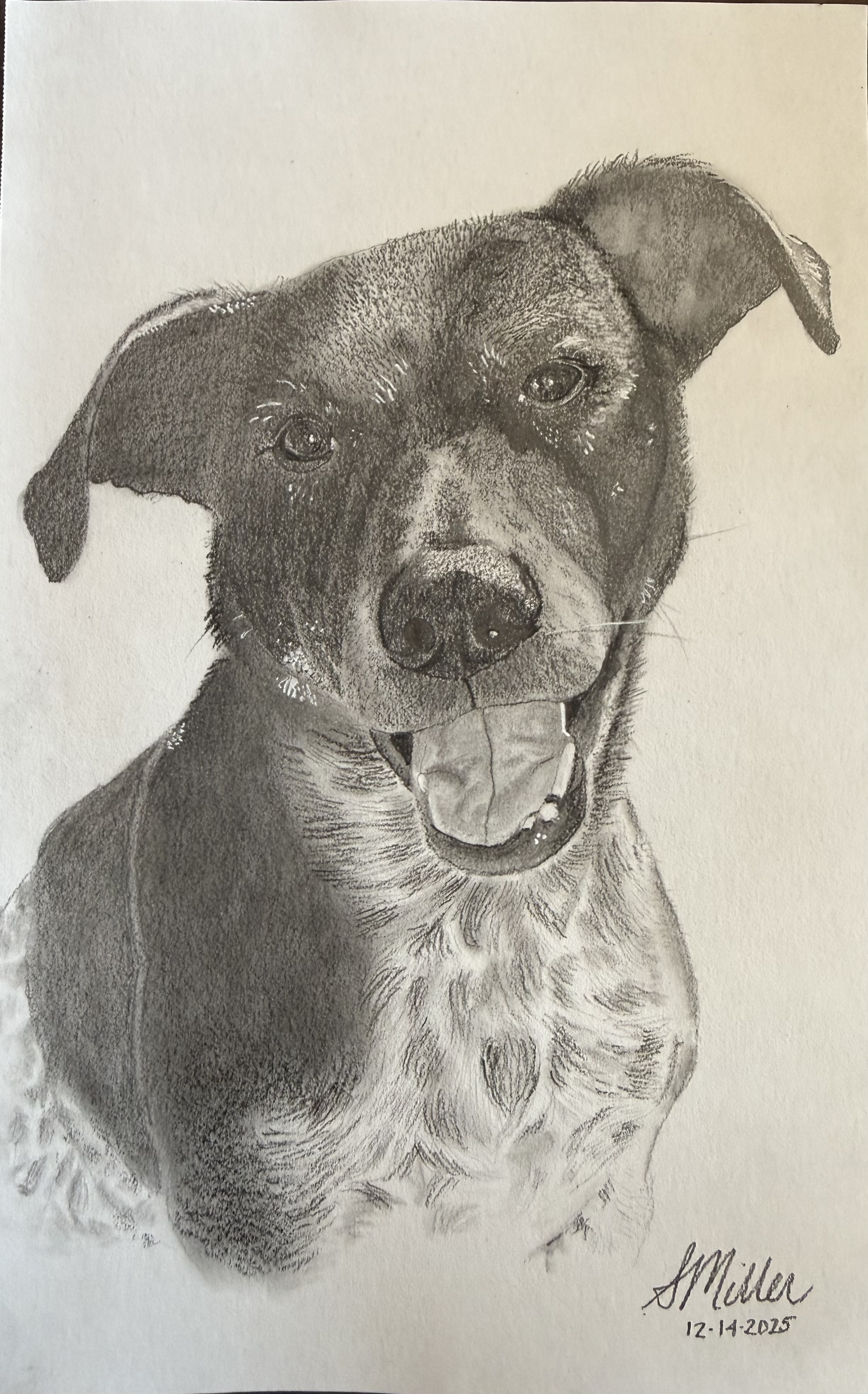 Bandit - Dog Portrait