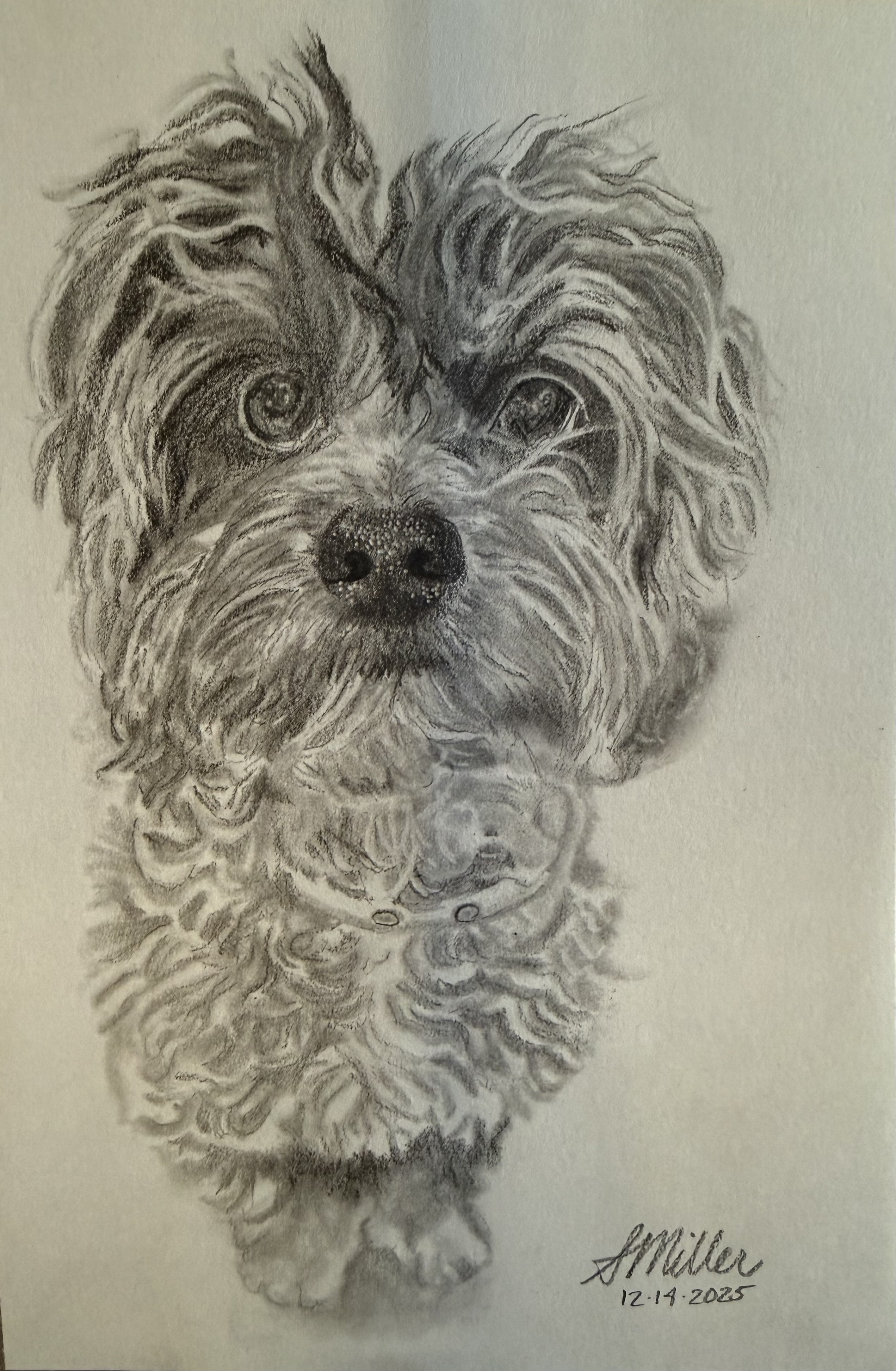 Peter - Dog Portrait