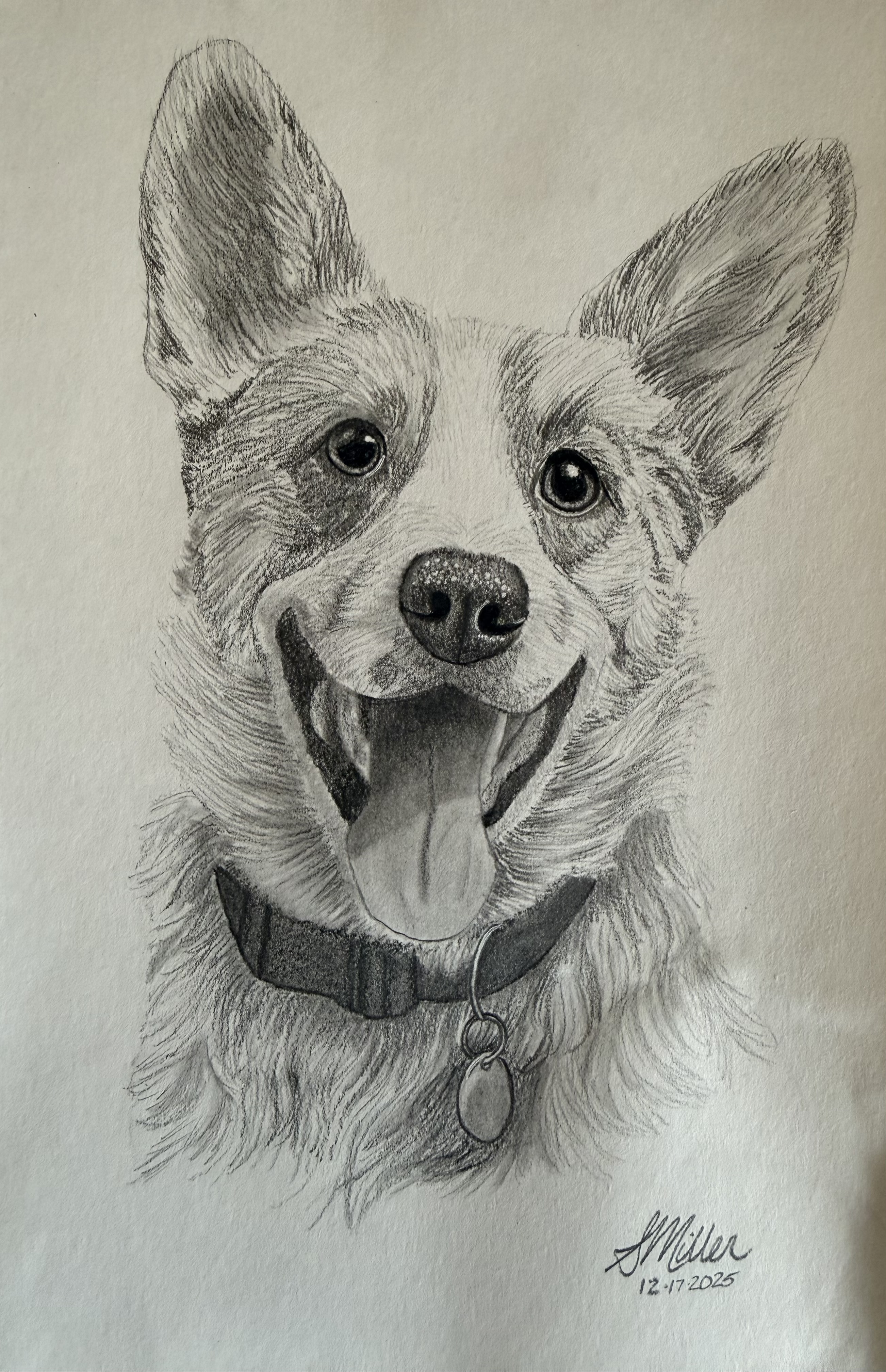Rio - Dog Portrait