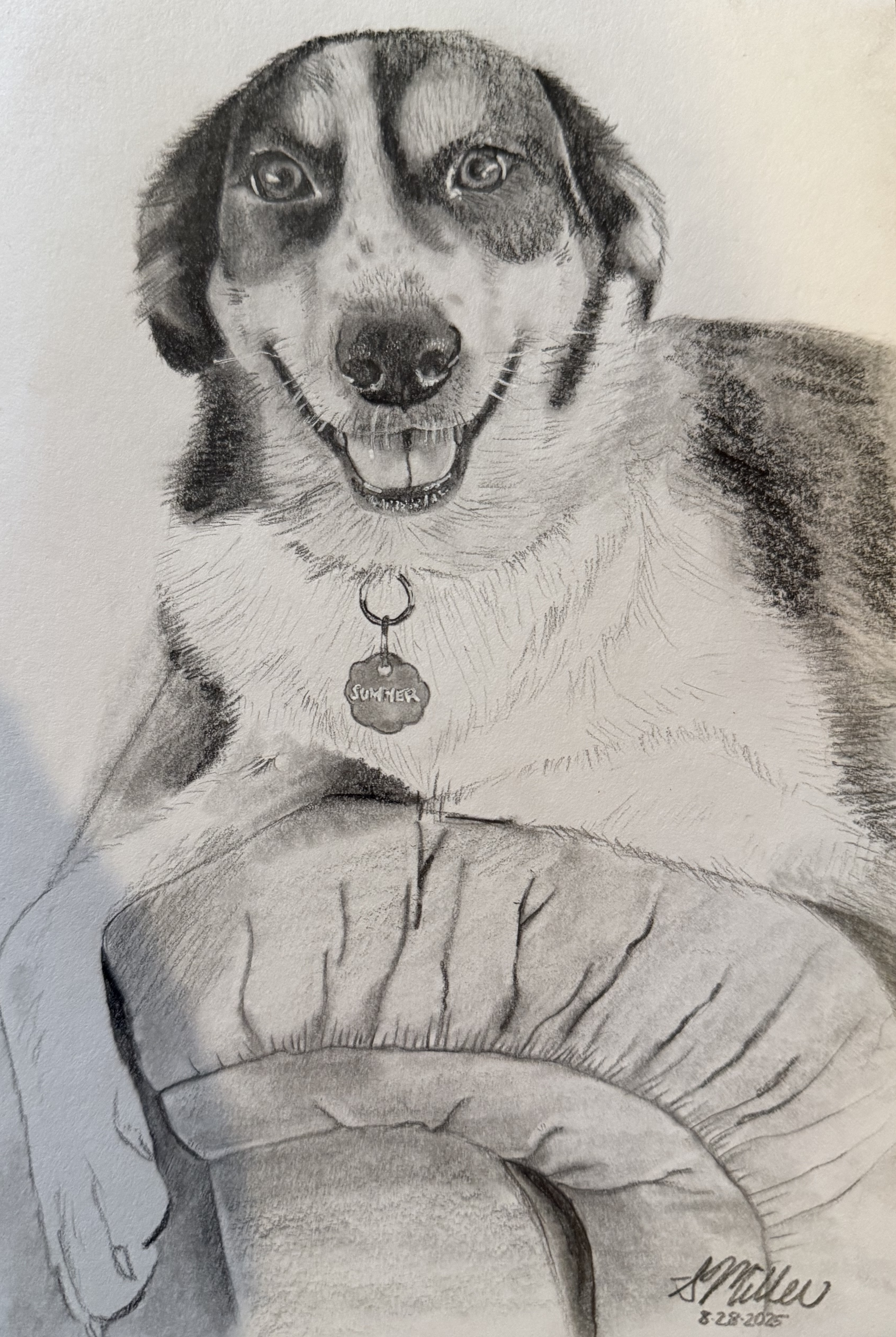 Summer - Dog Portrait