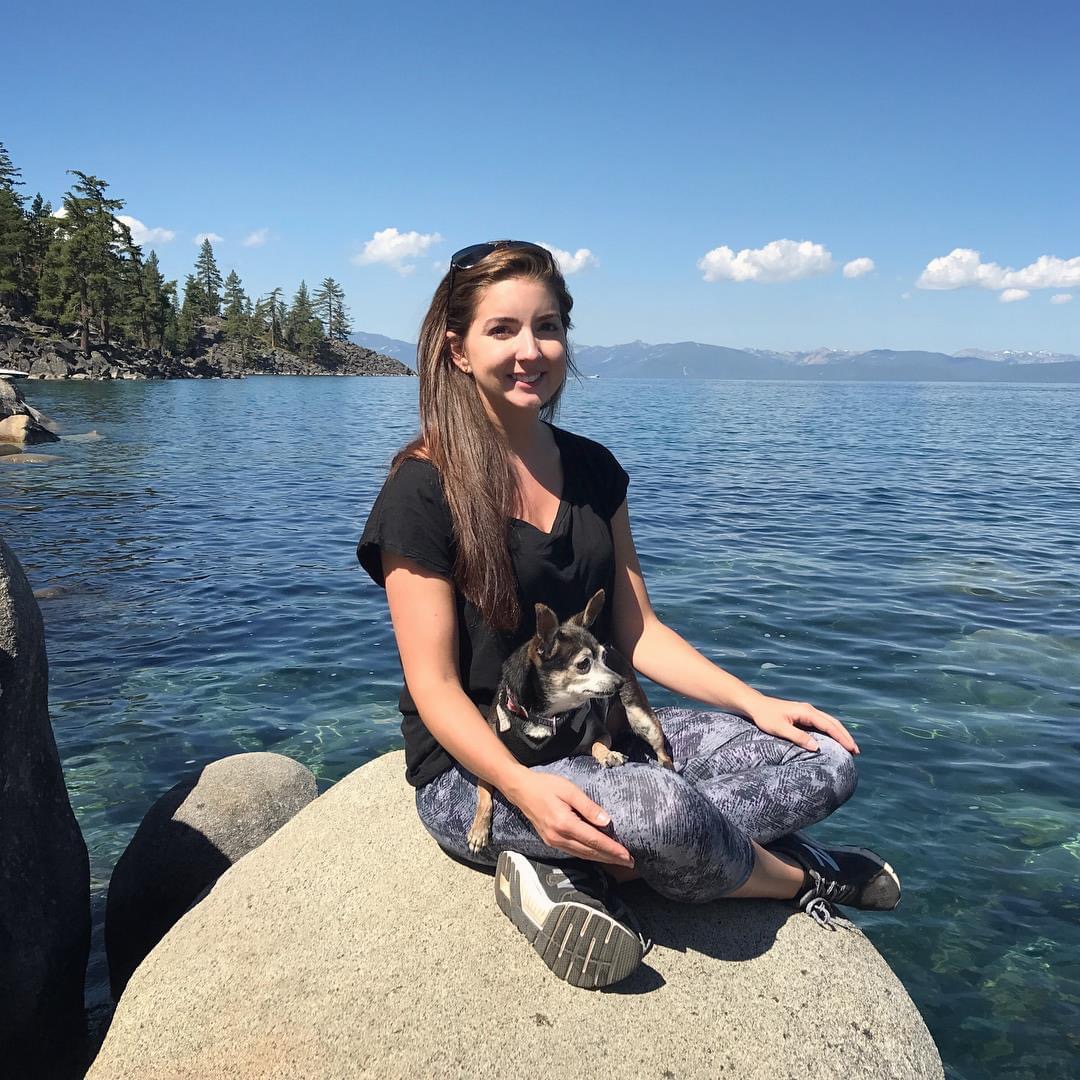 Samantha Miller - Pet Artist